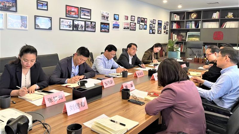 战略咨询公司优缺点分析